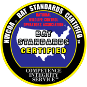 Bat Standards Logo