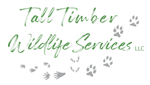 Tall Timber Wildlife Services